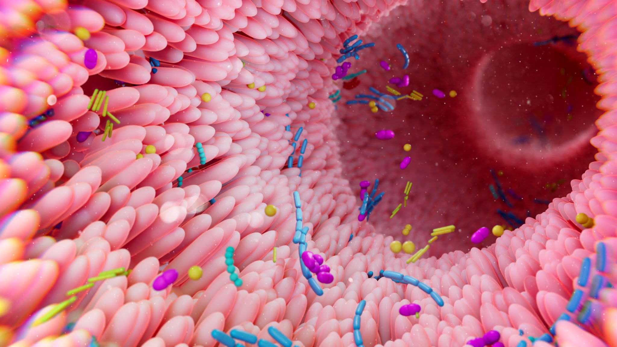 I segreti del microbiota intestinale