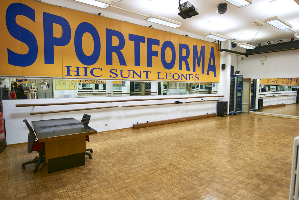 Sala Polivalente